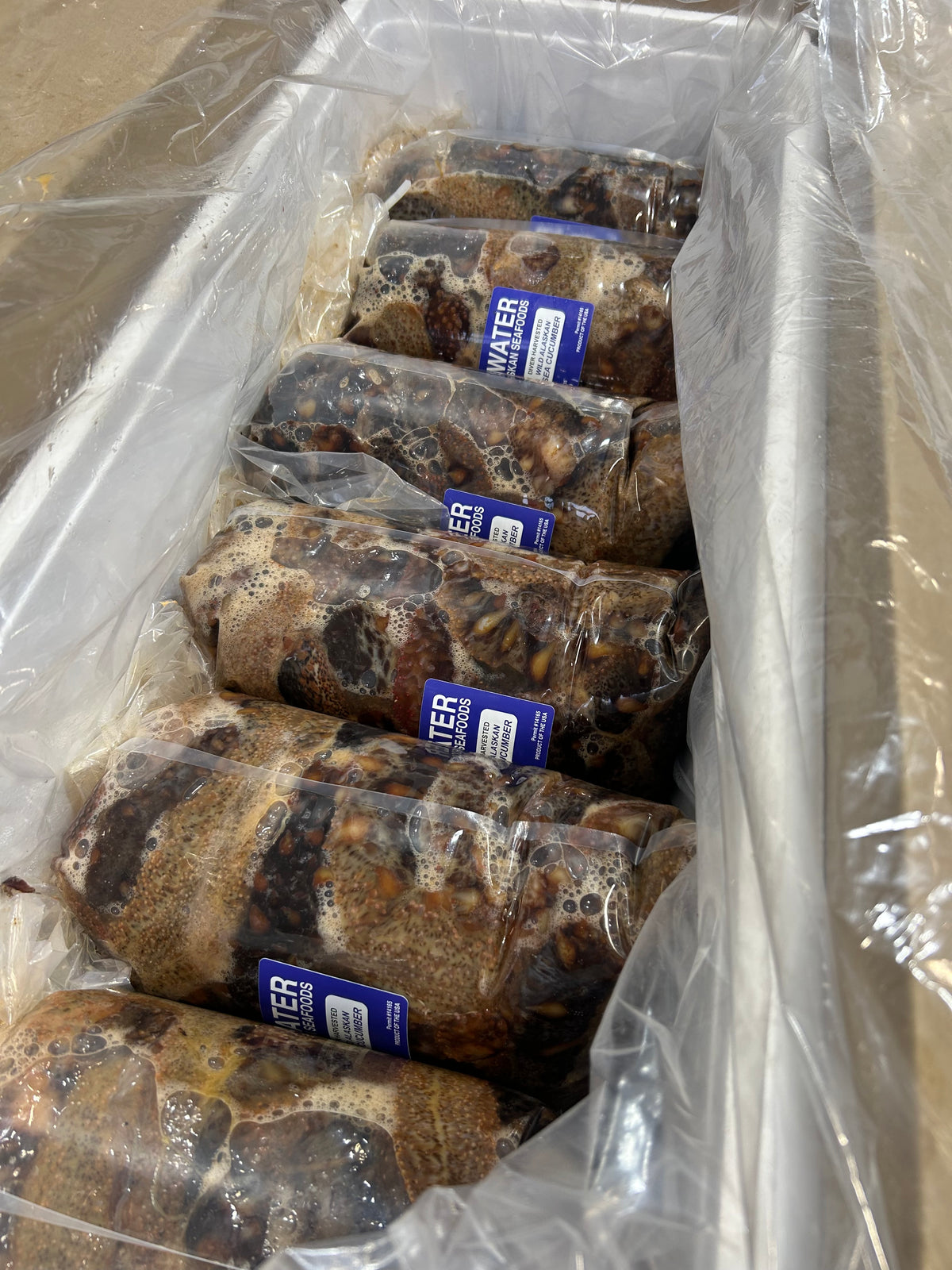 Wild Alaskan Sea Cucumber - Fresh - FREE SHIPPING -