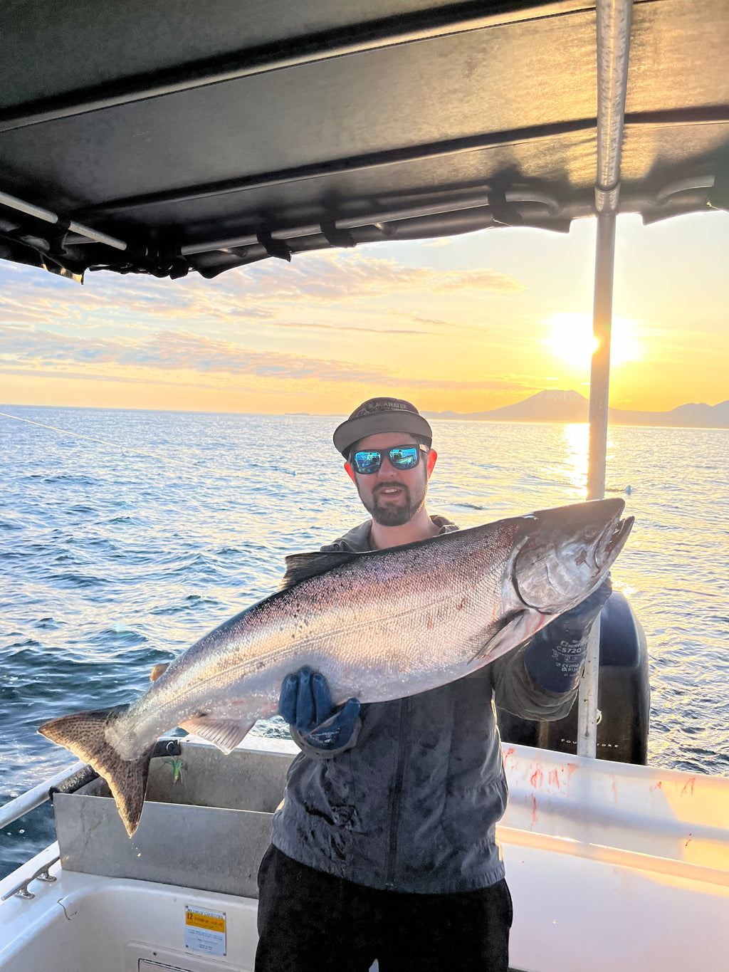 Wild Alaskan King Salmon