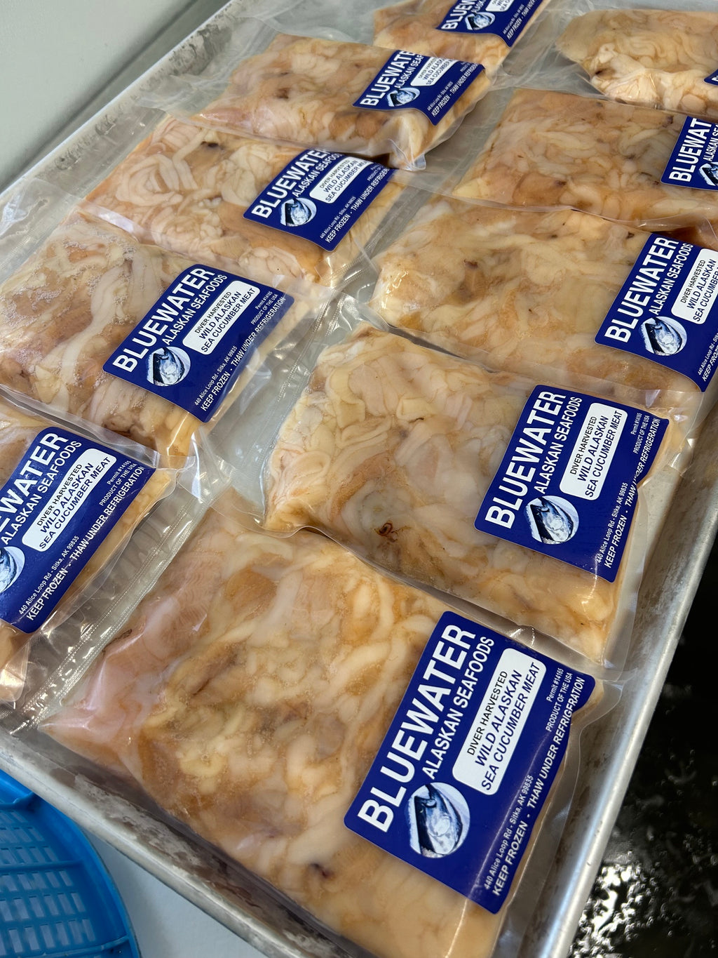 Wild Alaskan Sea Cucumber Meat 16oz -FREE SHIPPING-